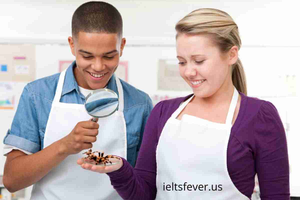 Some people prefer one on one lessons ielts fever