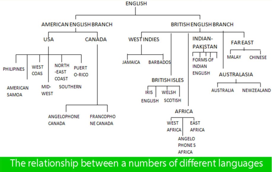 Relationship Between Many Different Languages