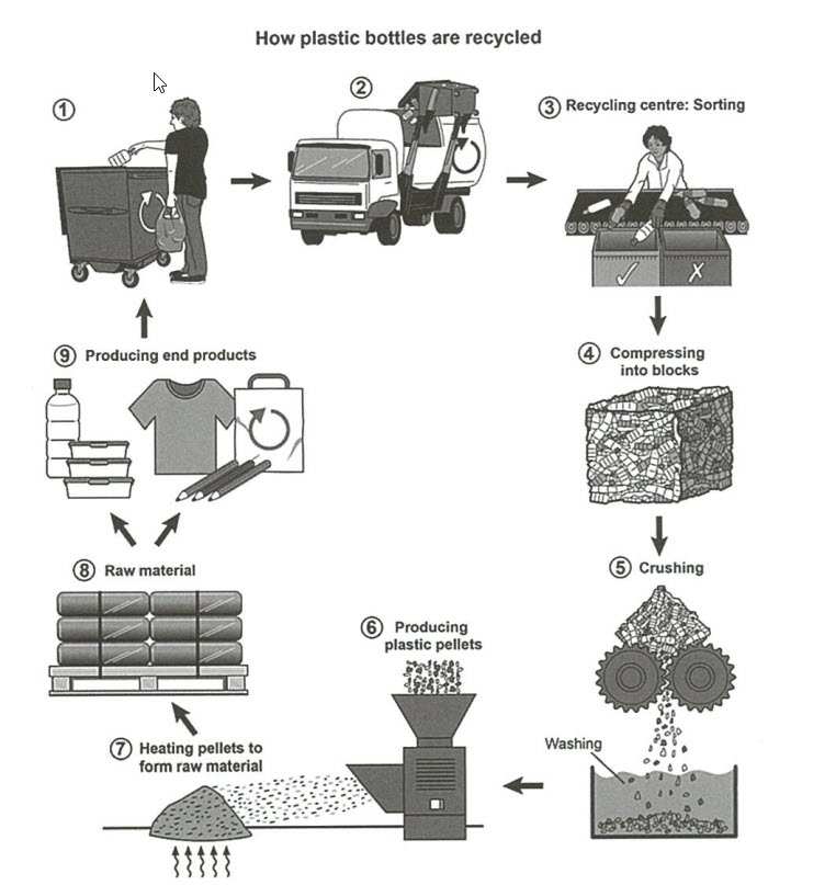 The Process for Recycling Plastic Bottles