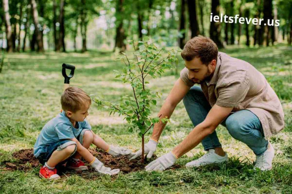 Some People Say It Is More Important to Plant Trees in The Open Spaces in Towns (4) (1)