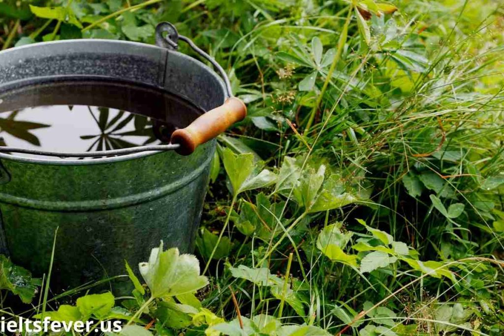 The Diagram Shows how Rainwater Is Collected for The Use of Drinking Water