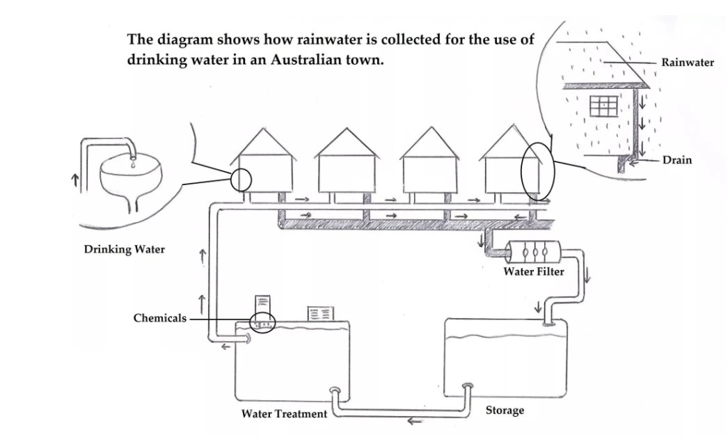 The Diagram shows how rainwater is collected for the use of drinking water