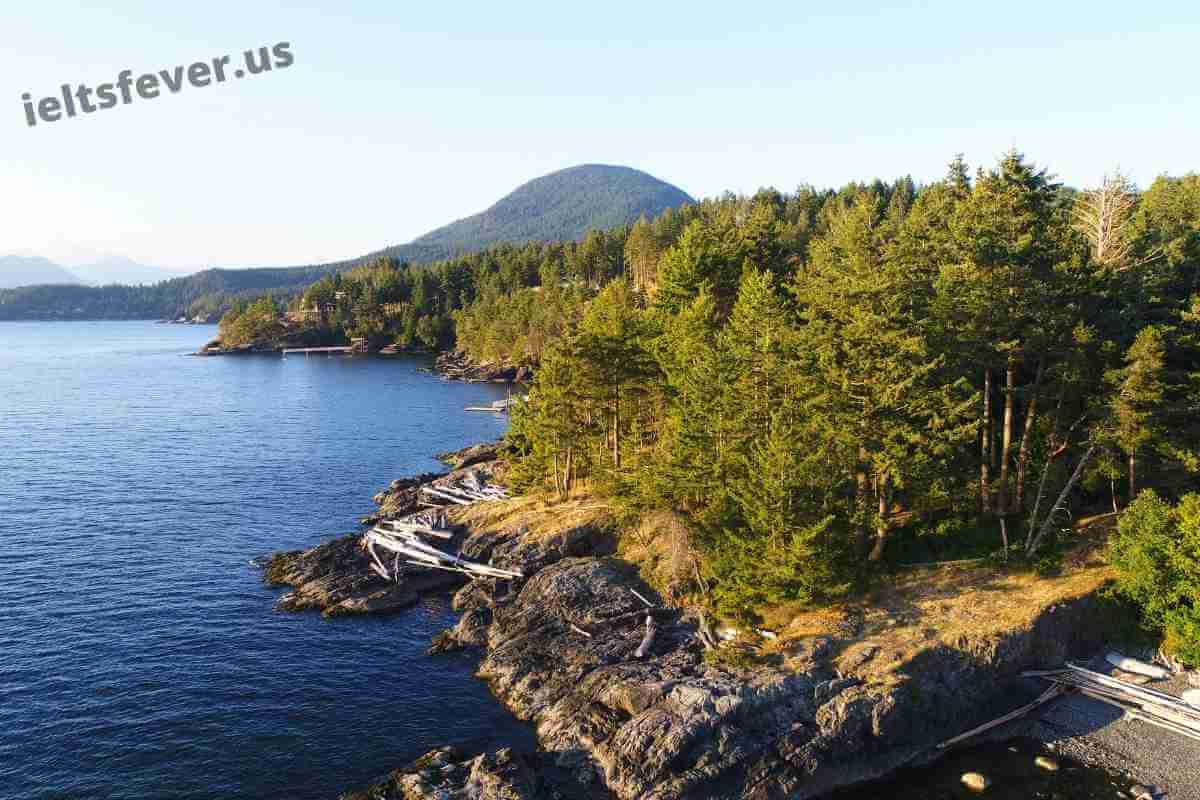 The Pie Charts Below Show the Most Common Advantages and Disadvantages