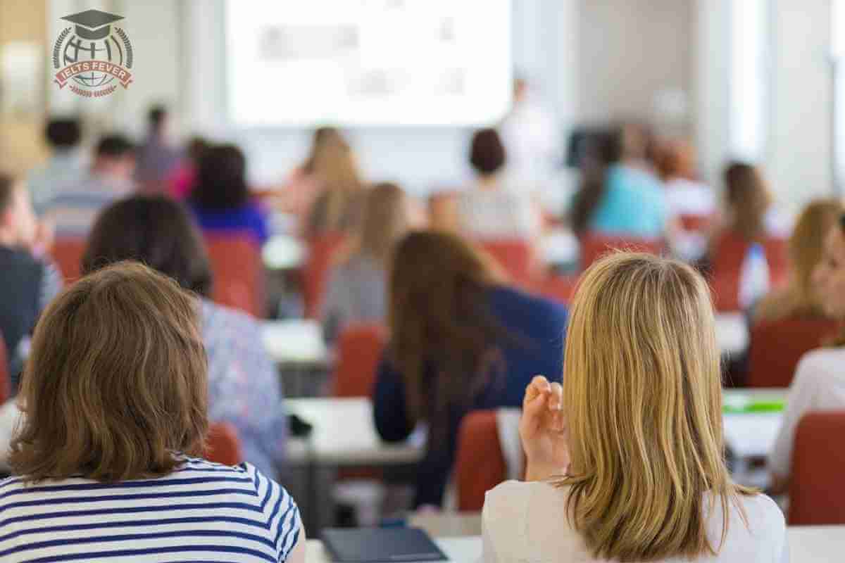 write-a-report-for-a-university-lecturer-describing-the-information