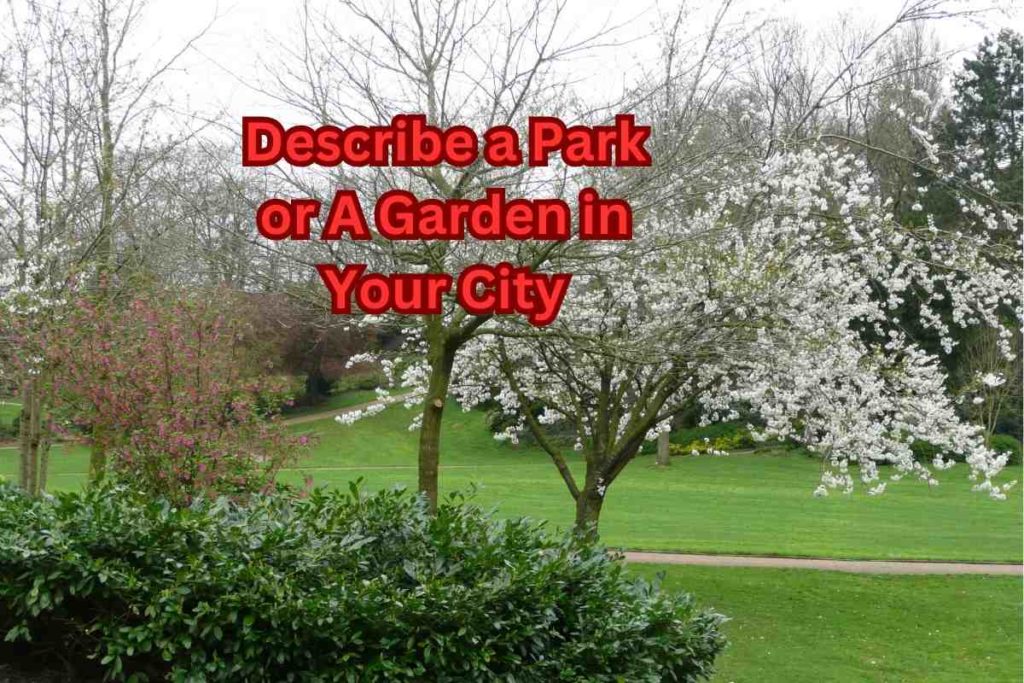 Describe a Park or A Garden in Your City