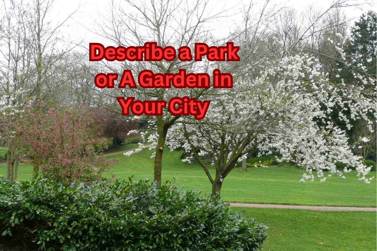 Describe A Park Or A Garden In Your City - IELTS FEVER