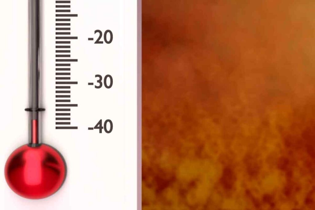 The Climograph Below Shows Average Monthly Temperatures and Rainfall