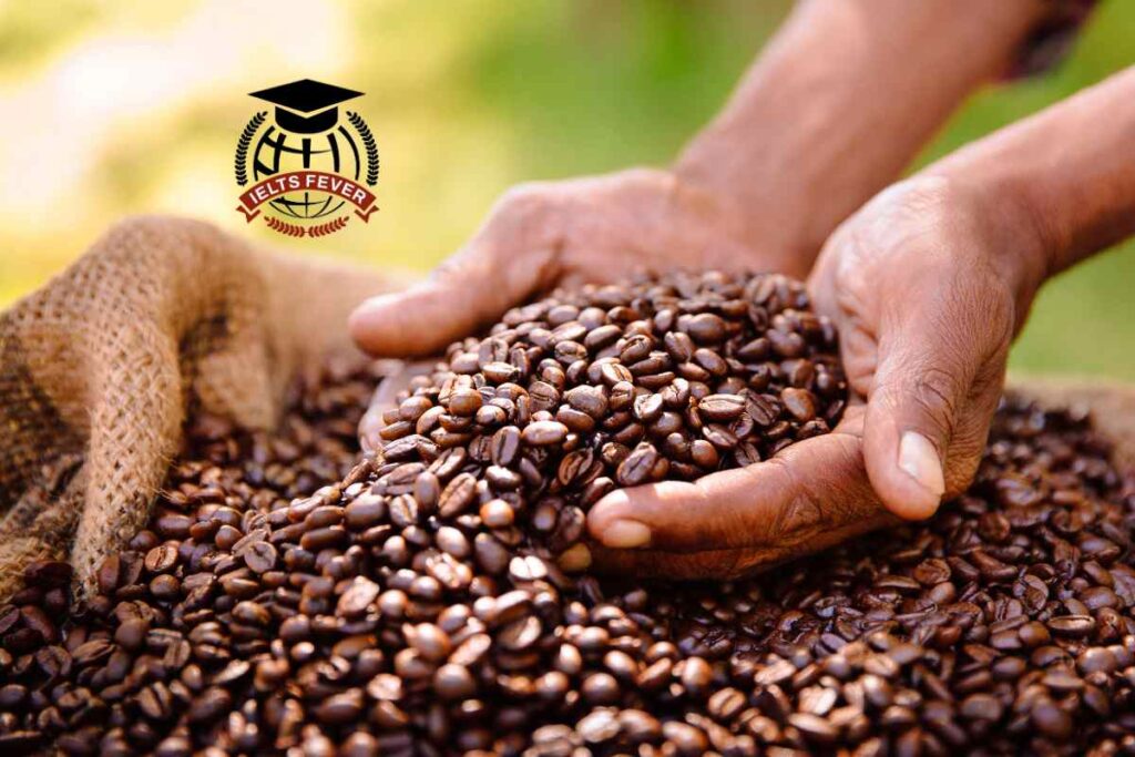 The Diagram Below Shows how Coffee Is Produced and Prepared for Sale